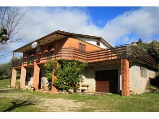 Beautiful villa with olive grove and..