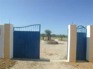 Large Farm in a 30.000 Sq. mts. plot..