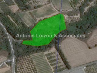 7,076 m2 filed in Kissonerga near the..