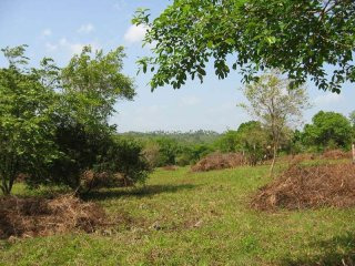 Beautiful Mountain Lots For Sale In..