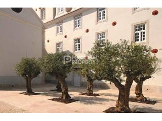 1 + 1 bedroom apartment in Misericordia..