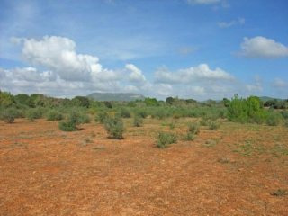 Large Plot With Perfect Location In..