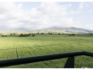 For Sale : First Floor Apartment -..