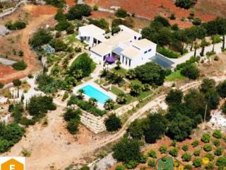 EXCLUSIVE! Architects dream! -..