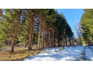 Jasenak - građevinski teren 1507 m2