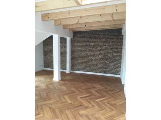 Renovated and Vacant Altbau Apartments..