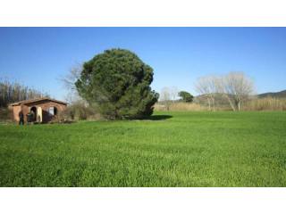 RUSTIC LAND IN TORRENT