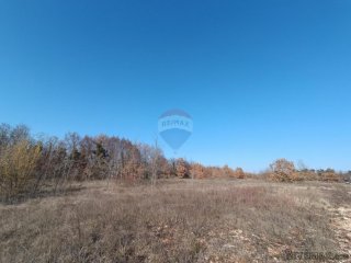 Istra, Svetvinčenat - građevinsko zemljište, ugostiteljsko t