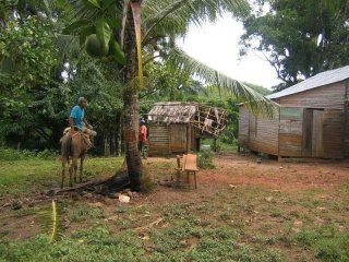 Mountain Farm In Rio San Juan