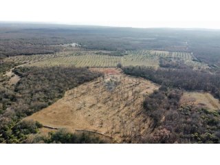 BALE - Prelijepo poljoprivredno zemljište 22821m2