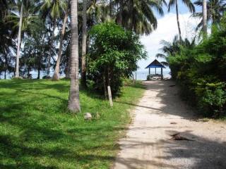 Land For Sale Koh Samui Surat Thani..