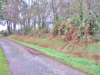 Building Plot At Nontron Area, Dordogne
