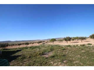 10,000 sq mtrs of land can go with 2497..