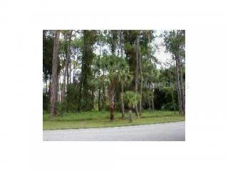 Land For Sale: 101 Sugar Mill Dr..