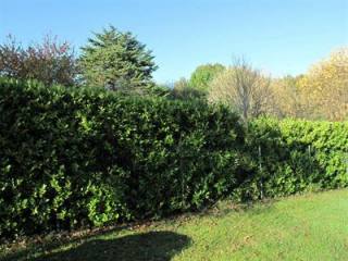 Property - Poitou-Charentes - For Sale