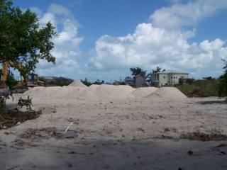 Residential Lot In San Pedro Town Core