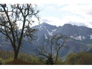 Apartment - For Sale - Garfagnana area..