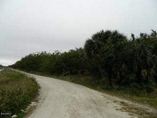Land For Sale: 14355 117th Street