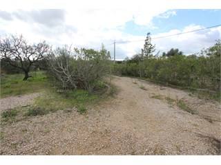 Plot - Silves - Algarve - for sale