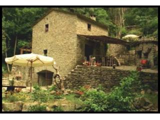 Architect Restored Mill Near Village