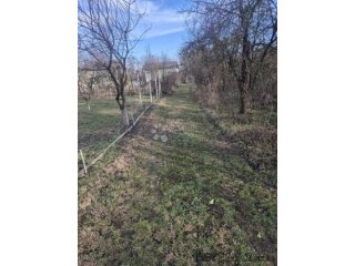 HITNO! Zemljište Kraljevo brdo, Dalj planina