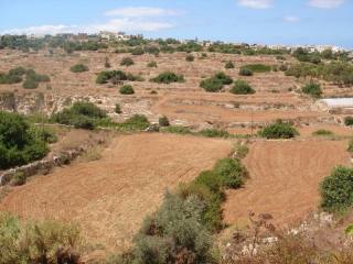 Farmland in San Gwann Valley