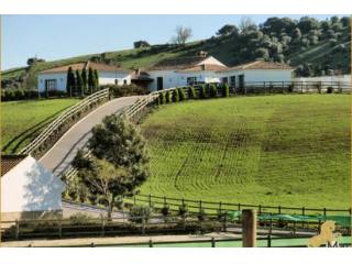 Superb Country Property stables for..