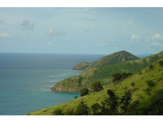 Turtle Bay Land
