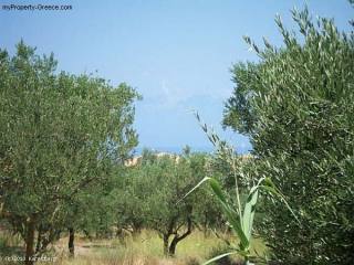 Land - Zakynthos - For Sale