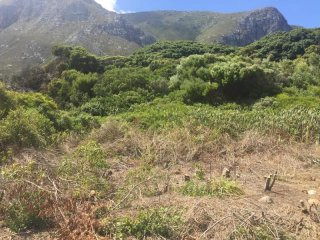 Bettys Bay Vacant Land, Bettys Bay