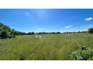 Šuma u Marčani: 17544 m² s Pristupnim Putem