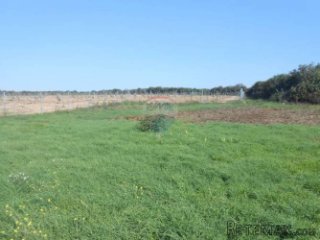 Istra, okolica Pule, građevinsko zemljište 601 m2