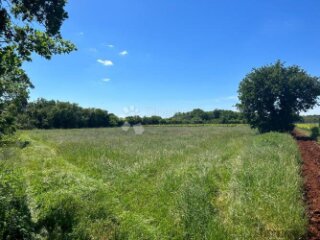 Poljoprivredno Zemljište u Muntiću: 3352 m²