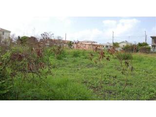 Property For Sale: Mangrove Lot 27, St...