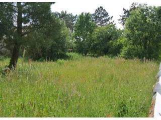 Site