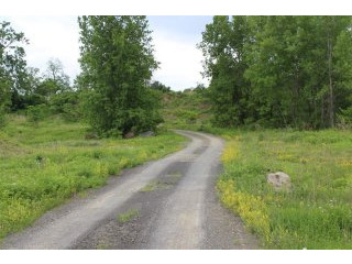 Land For Sale: County Route 19..