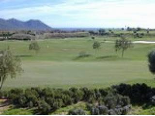 - Land - For Sale