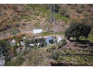 Country Houses for Sale in Sayalonga..
