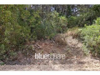 1000m2 building plot in Balcon al mar..