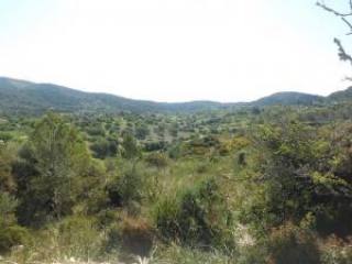 Son Macià, Manacor, finca plot for..