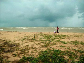 2+ Rai Beachfront Land for Sale - Khao..
