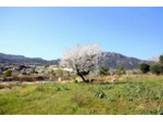 - Land - For Sale