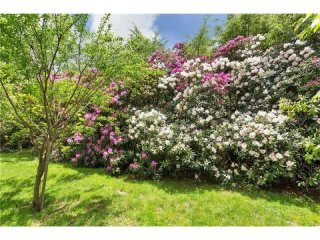 Property For Sale: 188 BRUSHY RIDGE..