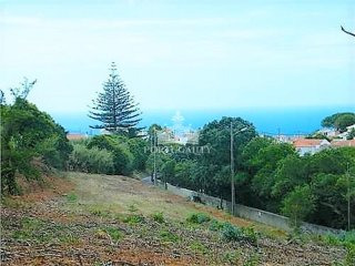 Land With A Project For The..