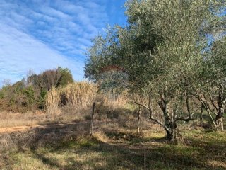 Istra, Poreč, građevinsko zemljište od 1050 m2 na atraktivno