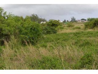 Property For Sale: Green Point Lot..
