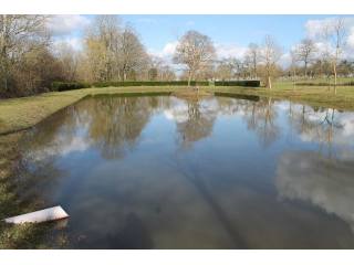 Lake with Island For Sale