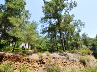 Land in Troodos, Cyprus, for Sale -..