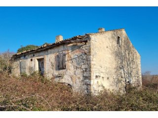 ISTRA - BALE OKOLICA - 3500 m2 GRAĐEVINSKO ZEMLJIŠTE SA KUĆO