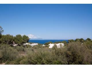 Plots with views in Sol de Mallorca